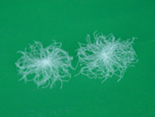 ��q���߰lչ���g�V�