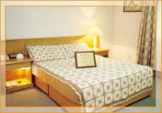 ����������_ʹ�Û�ϯ