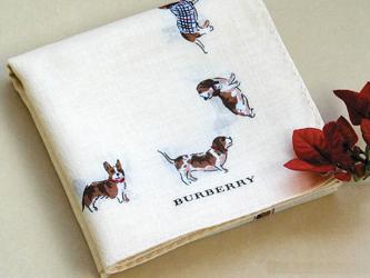 ���������جF��ζ�h������