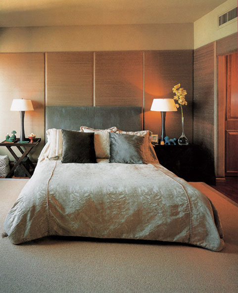 ����2009�괺�ăɼ��Ҽ�ɫ��