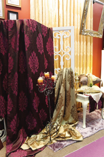 2008���ڇ�(gu��)�H�Ҽ�չ͹�@�������c(di��n)