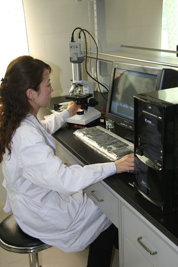 �Ї��������I�f���z�y������ס��t�T