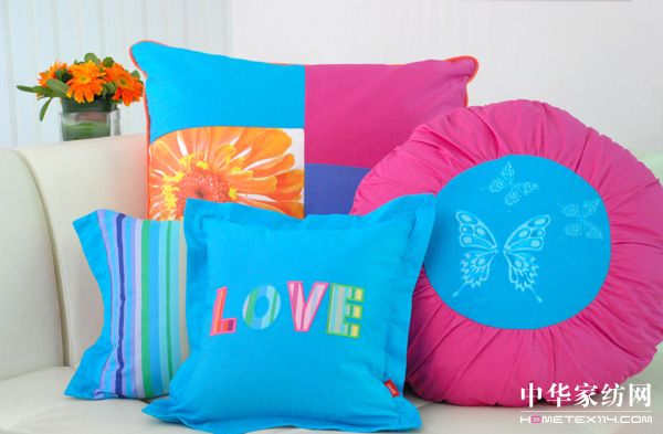 ESPRIThome2010��Ʒ�Ų�����