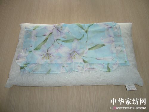 ǧ�ݼҾӎ����˽��пչ�͸����