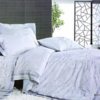 ���L�G�⣨FYFS003-4��