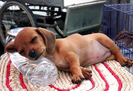 �H�������˯һС�r����