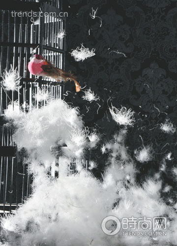 �����w�|�x�����_��q����һ��