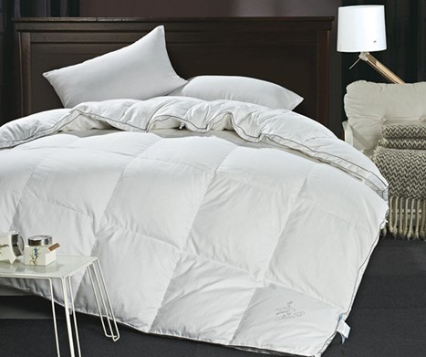 �{�z��Ҽ�������q��С֪�R