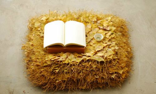 有生命的銀杏沙發(fā)