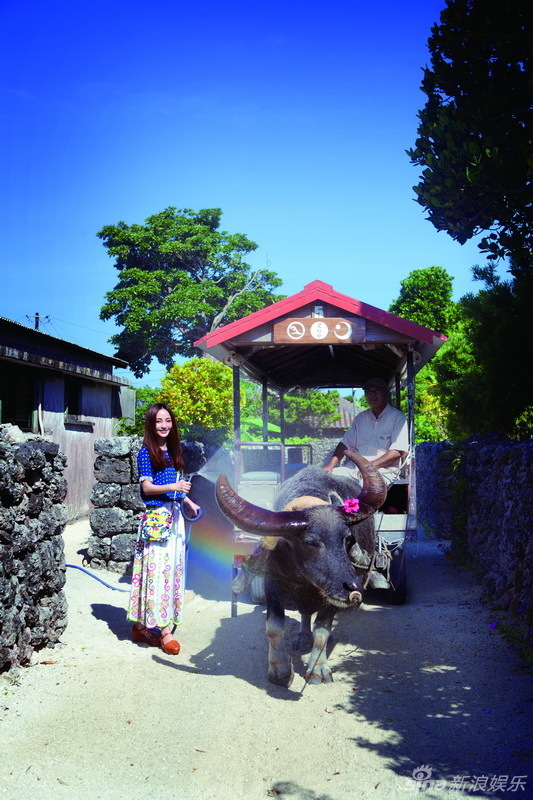 Ҧ���������Ό��� ጷſ옷��w