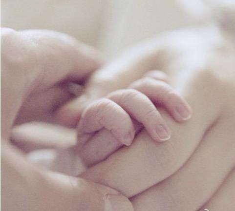 梅婷曬一家三口牽手照