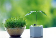 �����＾�Ҿ����Ĳ����ϻ�