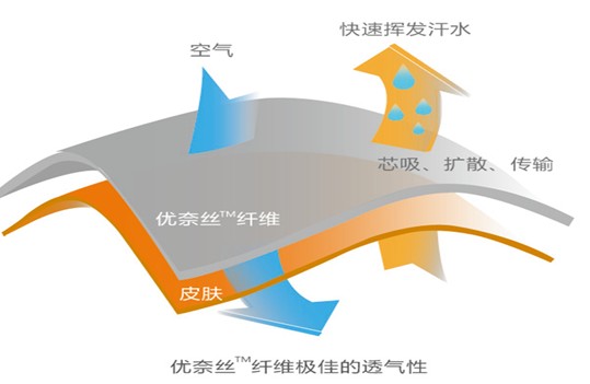 �{Ʒ�Ƽ��Ҽ����ô�Ʒ����������