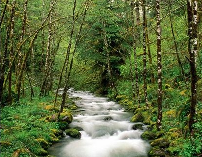 3D家紡給家?guī)?lái)全新視覺(jué)沖擊