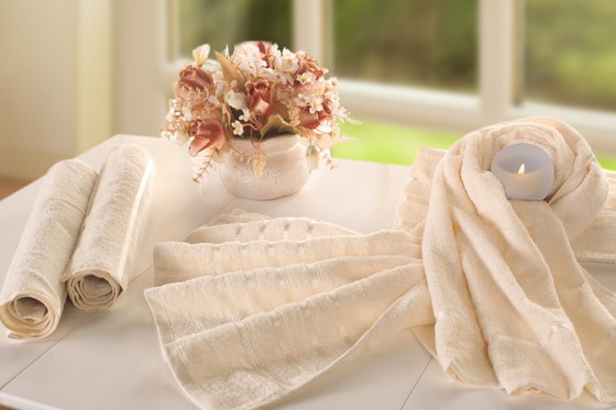 夏津縣召開棉紡織企業家座談會