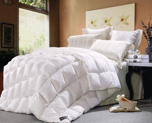 伊人島:羽絨被的保養知識