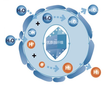 藍品科技優奈絲:女性家紡 呵護美麗