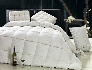 2014年中國羽絨市場研討會在貴港召開