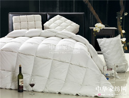 �����u�D�� �������v��