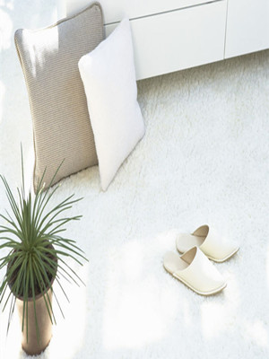 ������Ʒ�����g�����^��С��鶼�@����!