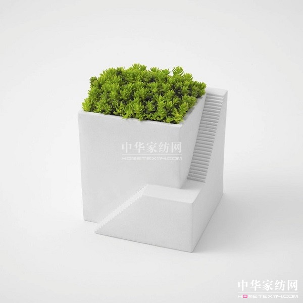 微型植物景觀打造一個小世界