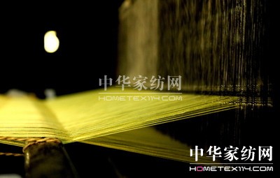 標(biāo)稱桑蠶絲 卻沒(méi)有一根絲