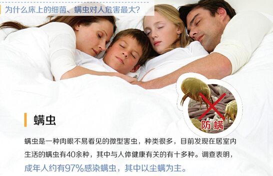 �O�ȝ������͐ۛ]�����x�ı���