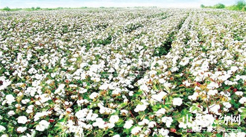 �Č��Ё��W���[�����e�k�����a�I���