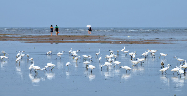 “天人共好”核心價值讓做生意更美好