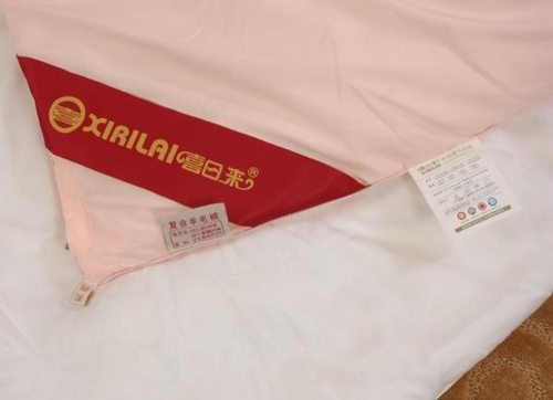 5�·��Ԍ���؈�Ҽ��N��ǰʮ�� ϲ�Ձ��Ҽ�����Wُ����