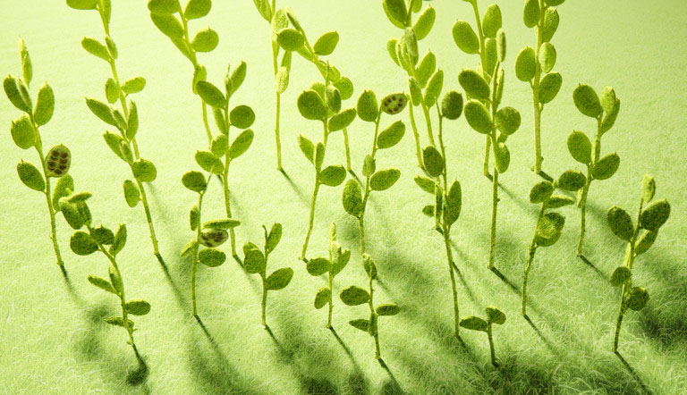 所有偉大領導者都具備的特質