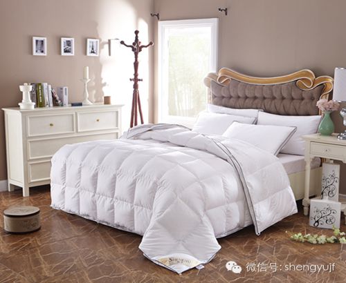 ʢ��Ҽ��ﶬ��Ʒ���������ۡ���оϵ��