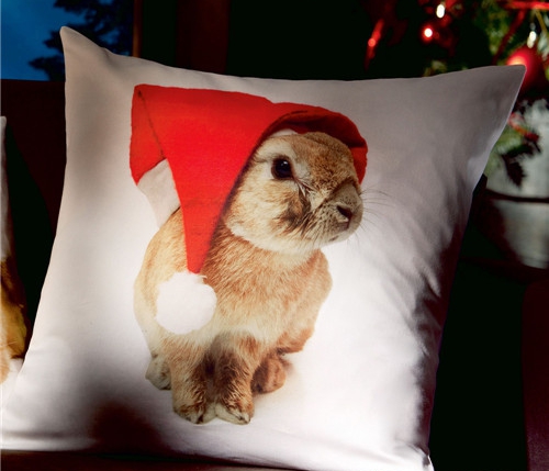 ���r�мҼ�Ʒ��ʥ�Q��Ԫ�ؿ��|�������C����