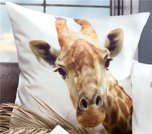 ���r�мҼ�Ʒ��ʥ�Q��Ԫ�ؿ��|�������C����