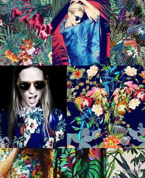 ��2015�Ҽ���Ʒ�����ϼy������