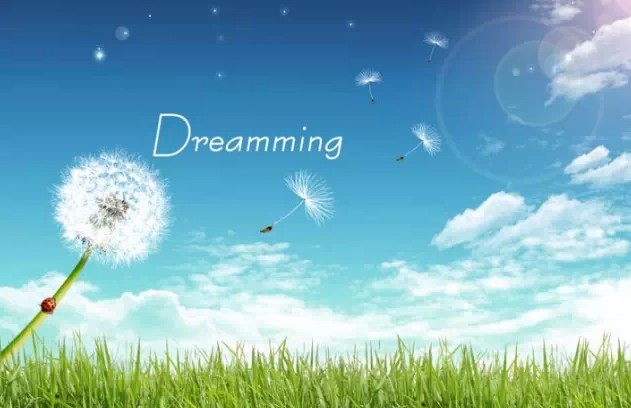 美羅家紡2015品牌推介會圓滿落幕