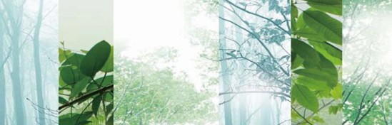 紫羅蘭生機家紡,還原巴馬原生態平衡環境