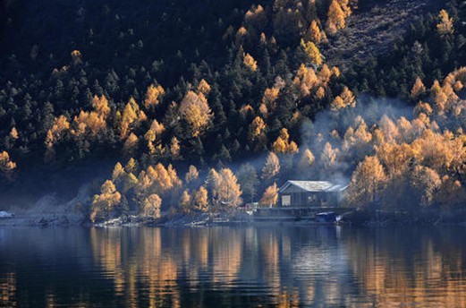 紫羅蘭生機家紡,還原巴馬原生態平衡環境