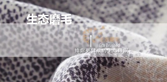 ���_�m���B(t��i)ĥë��Ʒ��׌˯�߻ؚw�������|(zh��)