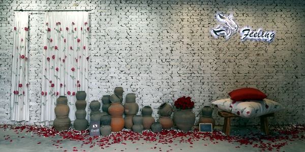 ���`����Ҋ����----FEELINGƷ�ưl�����ڱ���������Hˇ�g�@�^�e��