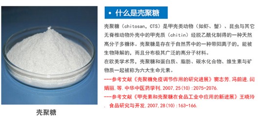 紫羅蘭:融匯深海靈氣,擁抱自然之美