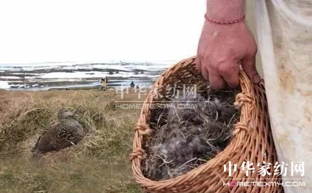 豪氣!27萬買下博洋家紡"被王"、"被后"!