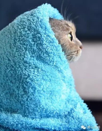 美浴生活:毛巾可以將就,毛巾也可以講究!