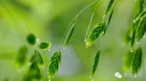 美浴生活:論一條毛巾的自我修養!