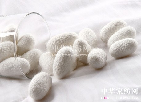 蠶絲蛋白——寶縵科技生態(tài)美容領(lǐng)域的顛覆與革命