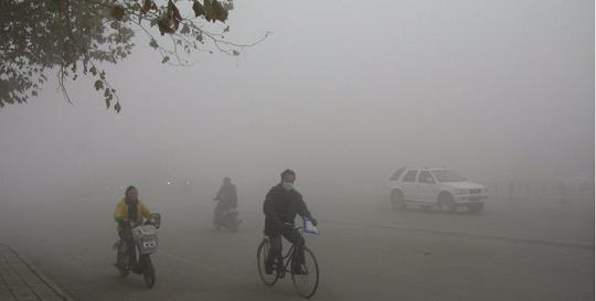 PM2.5爆表的時(shí)代紫羅蘭家紡生機(jī)科技讓你在森林里入眠