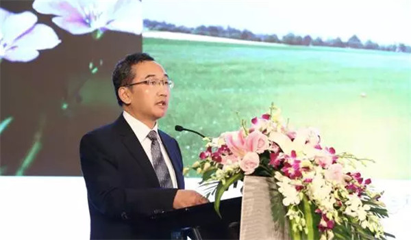 �����׃��������������δ����2017�Ї����������Ϻ����_