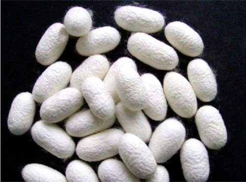 ͬ���ǽz�����W�_���{ʲô���f�������R�ˣ�