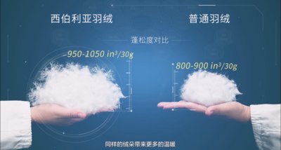 ˮ�ǼҼ����������Z�q��--���ԘO���؅^(q��)�ı�ů����