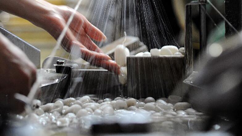 夕禾絲綢學堂之蠶絲被的制作